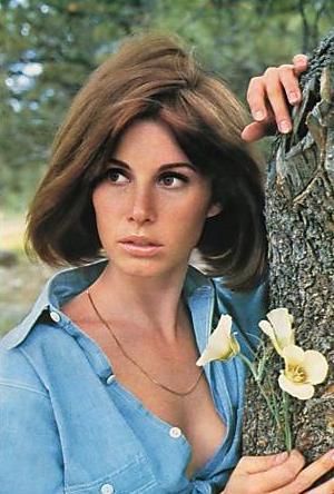 Stephanie Powers (born November 2, 1942 ... Stefanie Powers, Stephanie Powers, New Retro Wave, Classic Actresses, Actrices Hollywood, Vintage Hollywood, Classic Beauty, Up Girl, Hollywood Glamour