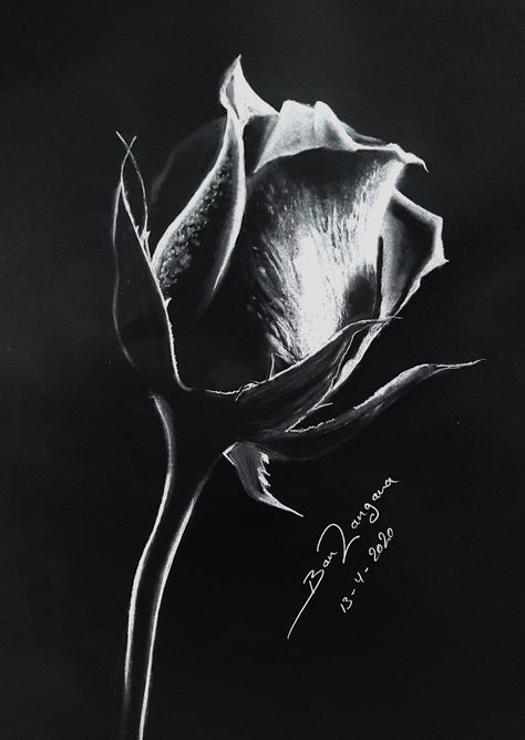 Black Canvas Art, Scratchboard Art, Black Canvas Paintings, Black Paper Drawing, Pen Art Drawings, Black And White Art Drawing, Charcoal Art, Beauty Art Drawings, White Pencil