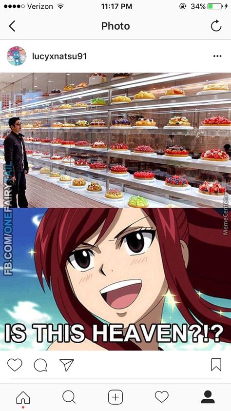 #fairy tail Fairy Tail Meme, Fairy Tail Funny, Fairy Tail Family, Fairy Tail Nalu, Fairy Tail Art, Fairy Tail Couples, Fairy Tail Ships, Erza Scarlet, Vampire Knight