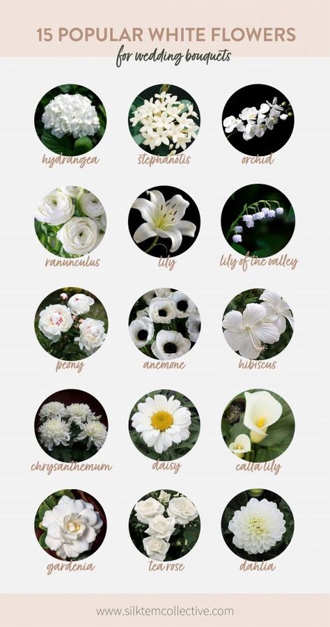 White Flowers Names, Gardenia Bouquet, Wedding Flower Types, Gardenia Wedding, Expensive Flowers, White Flower Bouquet, Flowers For Wedding, Tiny White Flowers, Bridal Bouquet Flowers