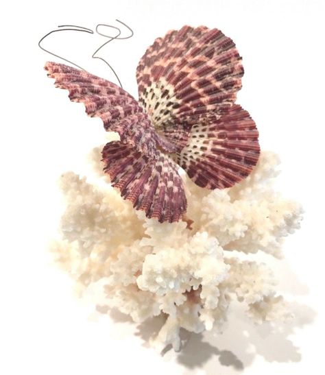 Seashell Butterfly, Seashell Decorations, Sponge Crafts, Crafts Butterfly, Seashell Creations, Shells Craft, Shell Creations, Sea Shell Art, Seashell Art Diy