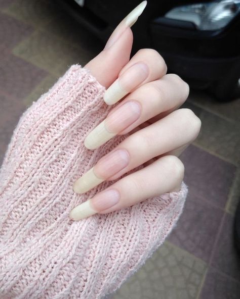 Long Real Nails, Natural Nails Real, Real Long Nails, Long Nail Beds, Nails 2023 Trends, Long Natural Nails, Trends Nails, 2023 Trends, Nails 2023