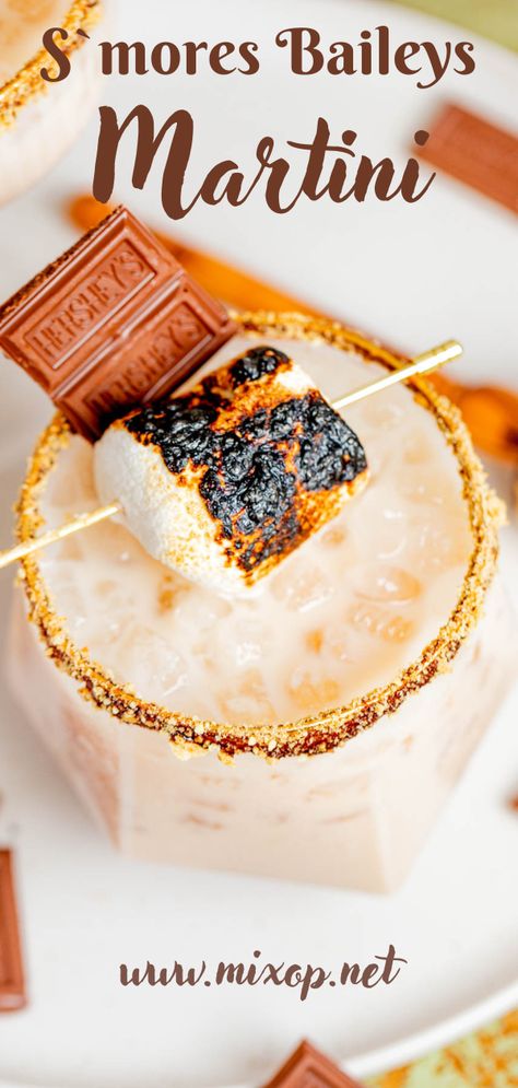 Baileys Smores Martini, S’more Martini, S’mores Alcoholic Drinks, S’mores Martini Recipe, Baileys Smores Recipes Drinks, Baileys Smores, Smores Martini Recipe, Smores Drink, Smores Cocktail