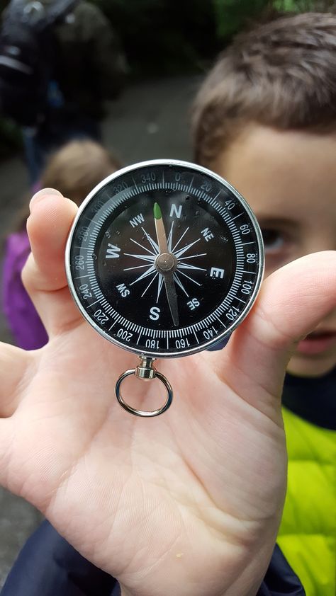 Compass Directions, Where Am I, Scout Activities, Math Game, Outdoor School, Activity Sheets, Science Lessons, Math Games, Compass