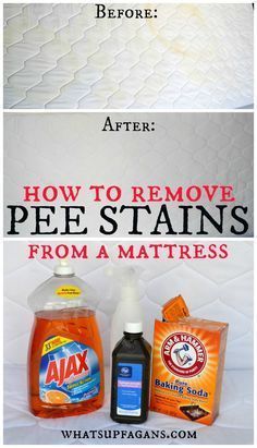 Pee Stains, Clean Hacks, Clean Baking Pans, Cleaning Painted Walls, Glass Cooktop, Deep Cleaning Tips, Clean Dishwasher, House Cleaning Tips, Diy Cleaning Products