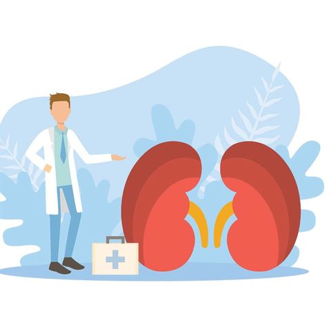 Kidney Function Test For Men Klarty Health At Home Diagnosis Kit Kidney Function Test, Follicle Stimulating Hormone, Medical Diagnosis, Creatinine Levels, Blood Plasma, Turmeric Health, Kidney Function, Glucose Test, Hdl Cholesterol