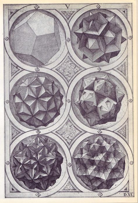 120 Variations on the Platonic Solids: ‘Perspectiva Corporum… – SOCKS Geometric Objects, Divine Proportion, Platonic Solids, Geometric Rose, Lijiang, Platonic Solid, Instruções Origami, Sacred Geometry Art, Kunming