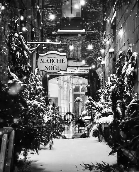 White Christmas Asthetics, Christmas Aesthetic Black And White, Christmas Black And White Aesthetic, Black And White Christmas Aesthetic, Xmas Widgets, Ig Background, Monochrome Christmas, Christmas Black And White, Winter Aesthetics