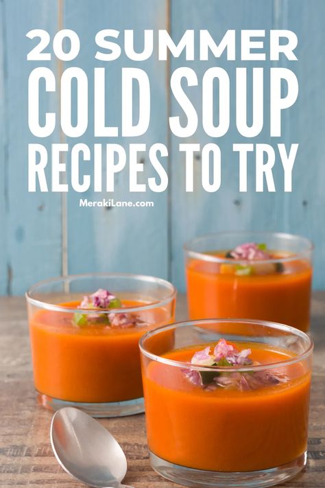 20 Refreshing Cold Soup Recipes for Summer | In hot and humid wether, a heavy, warm meal is often the last thing you want to eat! You want something cool, refreshing, and easy to make -- which is why we've curated this list of simple summer cold soups. From gazpacho, to vichyssoise, to borscht, to ajoblanco, these recipes are vegetarian and vegan, using fresh ingredients like tomatoes, root veggies, avocados, and lime. They also make the perfect leftover lunch recipe for kids and adults alike! Cold Soups For Summer, Cold Soup Recipes Summer, Cold Summer Soups, Vichyssoise Soup, Classic Borscht Recipe, Cold Tomato Soup, Soup Recipes Healthy Vegetarian, Veggie Soup Recipes, Cold Soup Recipes