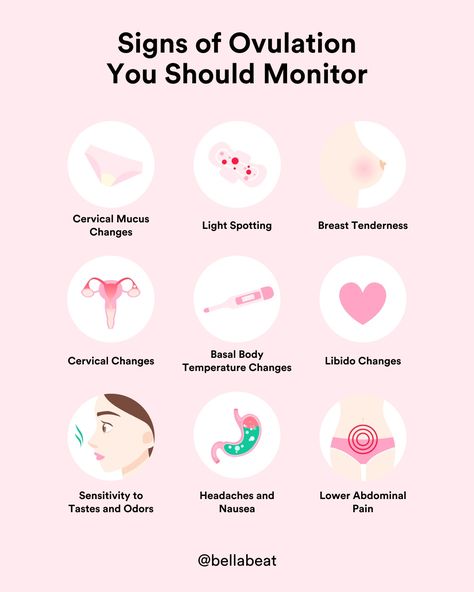 Ovulation Signs, Ovulation Pain, Ovulation Symptoms, Fertile Period, Ovulation Cycle, Cervical Mucus, Feminine Health, The Calendar, Getting Pregnant