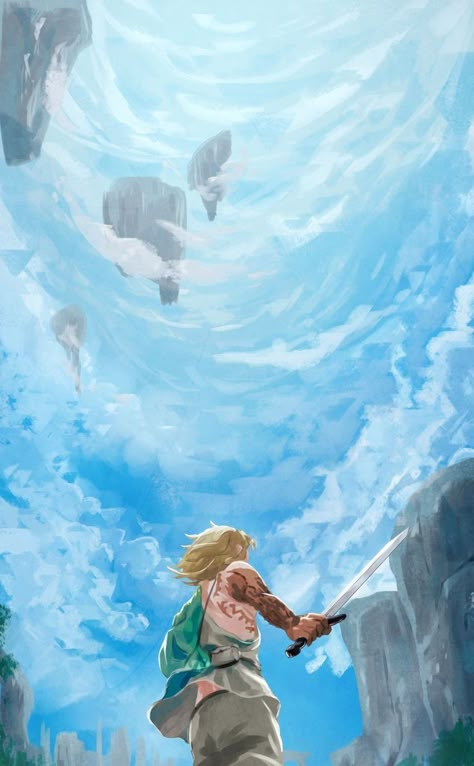 Zelda Tears Of The Kingdom, Tears Of The Kingdom, Link Art, Link Zelda, Arte Dc Comics, Zelda Art, Legend Of Zelda Breath, Zelda Breath, Twilight Princess