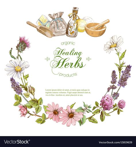 Vintage Banner Vector, Herbal Cosmetics, Cosmetics Illustration, White Background Design, Tea Logo, Vintage Banner, Health Care Products, Pamphlet Design, Wedding Posters