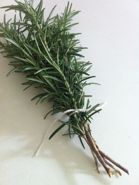 Rosemary Aesthetic Flower, Rosemary Aesthetic, Cosmetics Laboratory, Flower Catalog, Rosemary Water, Growing Rosemary, Tattoo Plant, Vision 2024, Rosemary Plant