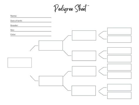 Excited to share this item from my #etsy shop: Pedigree Sheet | Farm Planner insert | tracks names, breed, and pedigree #pedigree #chart #farm #ranch #cattle #rabbits #cows #sheep #lambs Rabbit Pedigree Chart Printable Free, Rabbit Pedigree Template, Rabbit Pedigree, Rabbit Keeping, Dog Breeding Business, Daily Planner Sheets, Equine Care, Pedigree Chart, Raising Rabbits