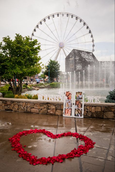 Rose Petal Proposal, Tennessee Proposal, Engagement Roses, Real Rose Petals, Pigeon Forge Tennessee, Real Rose, Marquee Letters, Dream Engagement, Proposal Engagement