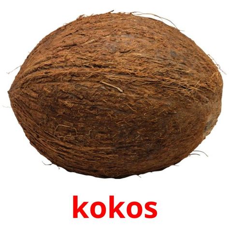 kokos Fruits Flashcards, Coconut Images, African American Hair, Benefits Of Coconut, Aesthetic Png, Food Activities, Fruits For Kids, Fruit Picture, Free Fruit