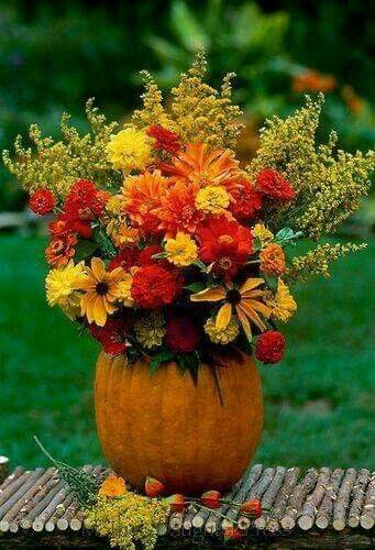 Thanksgiving Pumpkin Decorating, Autumn Bouquet, Pumpkin Vase, Pumpkin Arrangements, Fall Flower Arrangements, Fall Floral Arrangements, Autumn Decoration, Diy Thanksgiving, Fall Arrangements