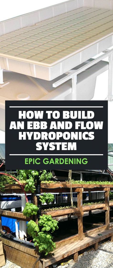 Learn how to build an ebb and flow hydroponics system, one of the simplest and cheapest ways to start growing plants in your own home. Ebb And Flow Hydroponics, Home Hydroponics, Hydroponic Farming, Hydroponics Diy, Hydroponic Growing, Plant Nutrients, Ebb And Flow, Aquaponics System, Hydroponics System