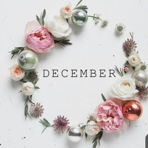 I hardly ever looked forward to December because I would always remember the birthday of a loved one I lost.  Christmas Eve saddens me… Quotes Flower, Wallpaper For Phone, Best Flowers, Super Quotes, Flowers Wallpaper, Wreath, Quotes, Flowers