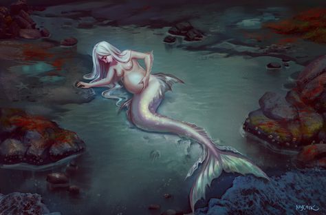 Pregnant Mermaid, Mermaid Anime, Mermaid Pose, Mermaid Man, Mermaid Images, Mermaid Artwork, Demi Human, Siren Mermaid, Humanoid Creatures