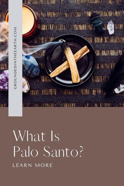 Paolo Santo, Citrus Trees, Protection Spells, Witchy Things, Sustainable Business, Smudge Sticks, Spiritual Practices, Being Used, The Earth