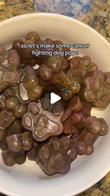 Doggy News Hub on Instagram: "Please give in moderation, and change water to bone broth if you have a picky dog.

Video Credit: thezcattledogs on Tiktok" Bone Broth For Dogs, Broth For Dogs, Chicken Bone Broth, Dog Remedies, Dog Pop, Dog Video, Chicken Bones, Dog Treat Recipes, Dog Snacks