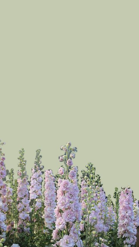 Green Purple Background, Purple And Green Wallpaper, Green And Purple Wallpaper, Aesthetic Flowers Wallpaper, Taylor Wallpaper, Pink And Green Wallpaper, Notion Ideas, Wallpaper Vibes, Green Quotes