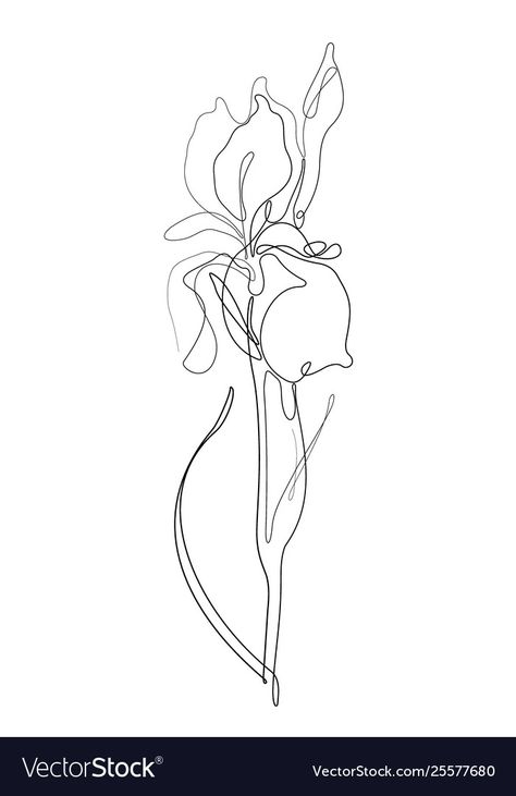 Simple Iris Tattoo Outline, Flower Tattoo Line Art, Flower Line Drawing, Iris Tattoo, Orchid Tattoo, Flower Line Drawings, Drawing Vector, One Line Drawing, Line Art Tattoos