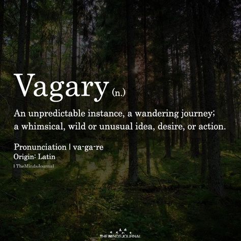 Nature Words Unique, Beautiful Nature Words, Words For Nature, Interesting Words, Nature Words, Unique Words Definitions, Words That Describe Feelings, Uncommon Words, Fancy Words