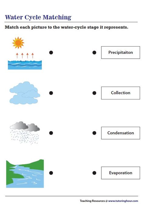 Water Cycle Craft, Water Cycle Experiment, Water Cycle Activities, Water Cycle Worksheet, Worksheet For Class 2, Cycle For Kids, Reading Comprehension For Kids, Human Body Organs, Worksheets For Grade 3