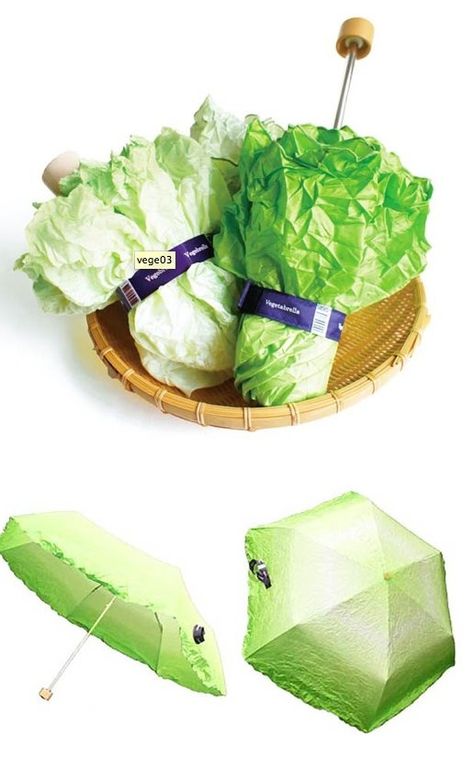 Rainbow Chard, Head Of Lettuce, Creative Packaging, Cool Inventions, Cool Stuff, Cool Gadgets, Rainy Day, Lettuce, Industrial Design