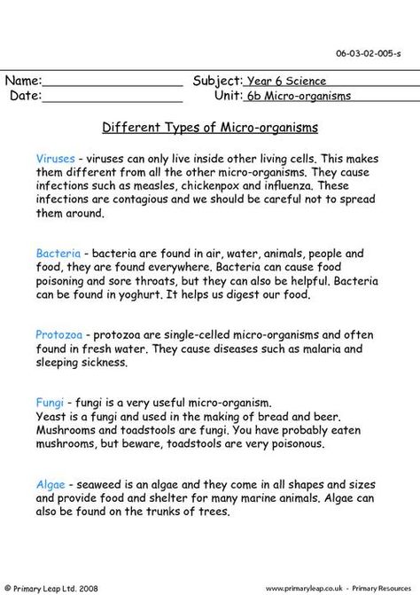 PrimaryLeap.co.uk - Different types of micro-organisms Worksheet Types Of Microorganisms, Microbiology Study, Questions To Answer, Micro Organisms, Cell Cycle, 7th Grade Ela, Science Lesson, Science Lesson Plans, Primary Resources