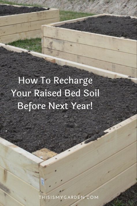 The spring, summer, and early fall growing season takes a big toll on the soil in raised beds! It takes nutrients to power crops, and as crops grow, they quickly deplete the limited resources available within the ground! Find out how to recharge raised bed garden soil this Fall! Raised Garden Beds Diy Vegetables, Raised Bed Garden, Tattoo Plant, Garden Remedies, Vegetable Garden Diy, Diy Raised Garden, Garden Compost, Garden Help, Veg Garden