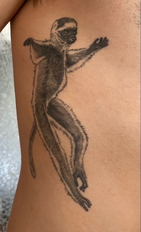 #tattoo #sifaka #lemur Lemur Tattoo, Sifaka Lemur, Antwerp Belgium, Tattoo Stencils, Animal Tattoos, Body Mods, Palermo, Tattoos And Piercings, Belgium