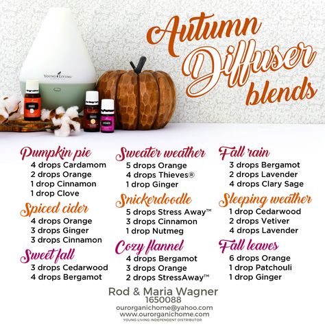 Fall Essential Oil Blends, Fall Essential Oils, Fall Diffuser Blends, Diy Essential Oil Recipes, Essential Oil Diffuser Blends Recipes, Young Living Essential Oils Recipes, Oil Diffuser Recipes, Essential Oil Diffuser Recipes, Yl Essential Oils