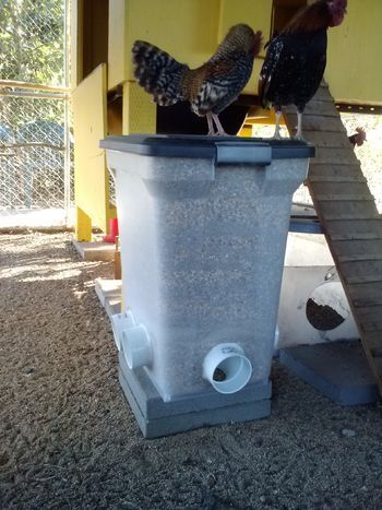 Lets see your DIY no spill feeders and creative waterers! - Page 2 Chicken Feeder And Waterers, No Spill Chicken Feeder, Diy Chicken Feeder, Pet Chickens Breeds, Reban Ayam, Chicken Feeder Diy, Chicken Waterer, Chicken Feeders, Dust Bath