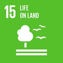 Sustainable Development Goals - CDP Life On Land, Sustainable Management, Un Sustainable Development Goals, Sustainable Development Goals, Climate Action, Aichi, Developing Country, United Nations, Pollution