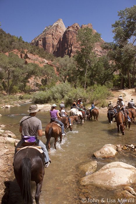 Trail Riding Horses, Grand Canyon Trip, Horseback Riding Trails, Horse Adventure, Trip To Grand Canyon, Arizona Adventure, Zion Canyon, Grand Canyon Arizona, Utah Road Trip