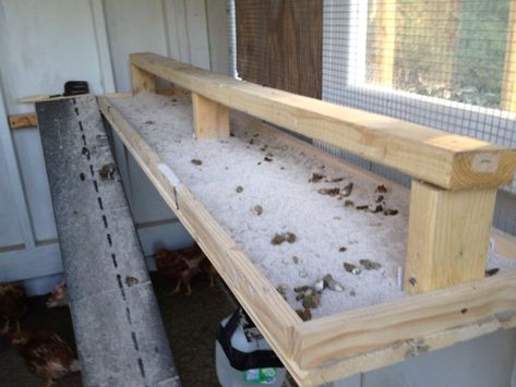 Poop board convert *warning-graphic/gross poop pictures* | Page 95 | BackYard Chickens - Learn How to Raise Chickens Poop Pictures, Chicken Ladder, Mobile Chicken Coop, Chicken Roost, Chicken Poop, Chicken Tractors, Diy Chicken Coop Plans, Chicken Coop Run, Coop Ideas