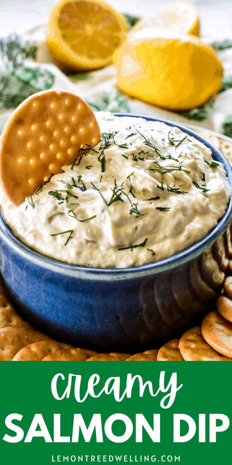 Fresh Salmon Dip Recipes, Salmon Dips, Salmon Dip Cream Cheese, Savory Cheesecakes, Alaskan Recipes, Alaska Recipes, Salmon Appetizer Recipes, Salmon Dip Recipes, Easy Delicious Appetizers