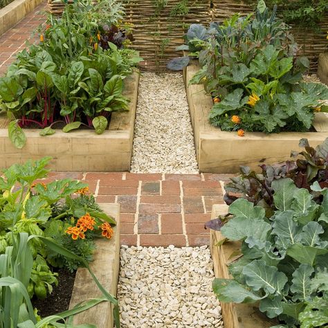 Raised beds in potager garden Landscape Mood Board, Flower And Vegetable Garden, Beautiful Raised Garden Beds, Garden Australia, Raised Beds Garden, Fall Vegetables To Plant, Gemüseanbau In Kübeln, Vegetables To Plant, Vegetable Beds