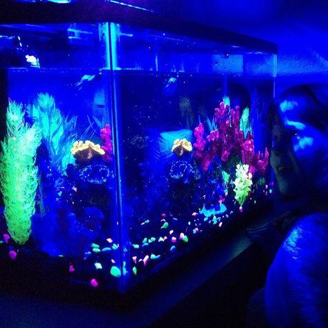 GloFish Aquarium Kit #aquarium, #fish, #kit Glow In The Dark Fish Tank, Dark Fish Tank, Dark Aquarium, Aquarium Sink, Glofish Aquarium, Glow Fish, Unique Gift Guide, Cool Fish Tanks, Fresh Water Fish Tank