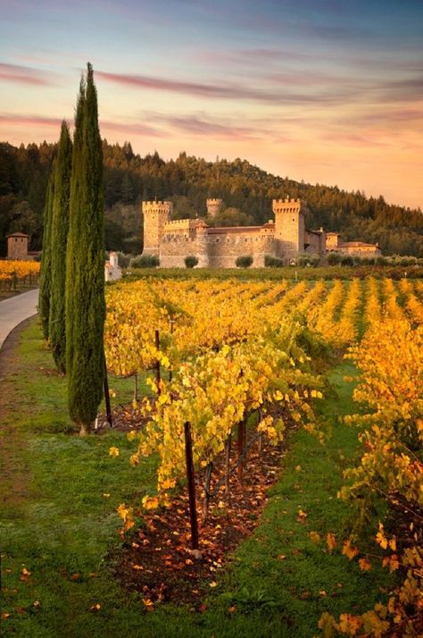 Castello Di Amorosa - A castle and a winery, this place attracts people with its uniqueness and the good wine. The starting price for wine tasting is 35$, for several Italian wine types, including Merlot and Cabernet Sauvignon. Castelo di Amorosa was built in a 13th century-inspired Tuscan style by Medieval architecture enthusiast owner Dario Sattui. This winery was first opened to the public  in April 2007. Wine Architecture, Napa Valley Vineyards, Napa Valley California, Napa Valley Trip, Napa Trip, Napa Valley Wineries, Napa Valley Wine, Wine Country California, Amazing Travel