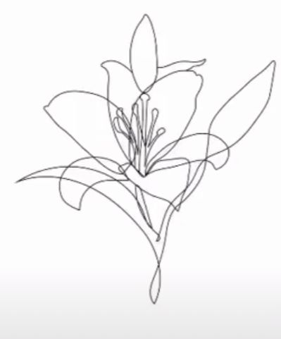 Lilies Drawing, Lily Flower Tattoos, Line Art Flowers, Lily Tattoo, Line Art Tattoos, Floral Drawing, Discreet Tattoos, Dainty Tattoos, Best Tattoo Designs