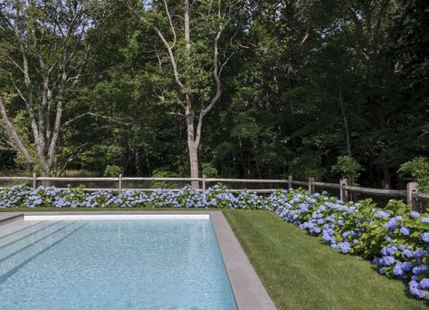 Split Rail Fence Hydrangeas, Split Rail Fence Around Pool, Hydrangeas By Pool, Fence Around Pool Ideas, Hydrangea Around Pool, Pool With Fence, Landscaping Steps, Hydrangea Hedge, Hamptons Backyard