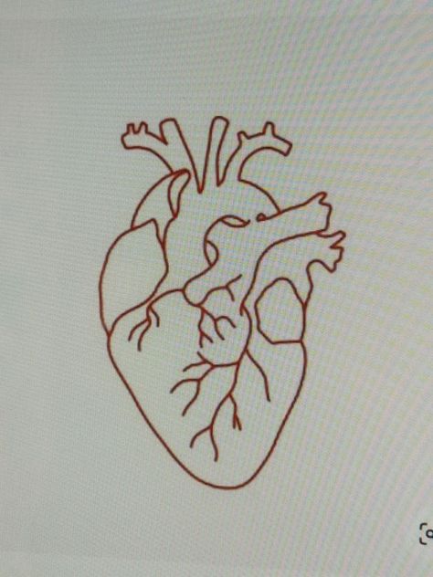 Human Heart Outline, Real Heart Tattoos, Unique Minimalist Tattoo, Patience Tattoo, Human Heart Tattoo, Anatomical Heart Drawing, Heart Outline Tattoo, Heart Tat, Anatomical Heart Tattoo