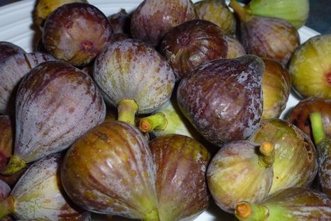 Fig Syrup, Fig Preserves, Oatmeal Porridge, Syrup Recipes, Fruit Ideas, Bagel Cream Cheese, Fig Recipes, Fresh Figs, Vintage Farm