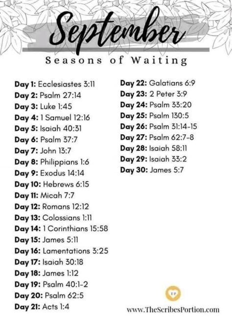 Learn The Bible, Scripture Writing Plans, Dreams And Goals, Bible Study Plans, Bible Study Methods, Bible Study Tips, Health Challenges, Bible Challenge, Bible Study Guide