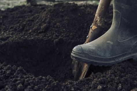 Digging Holes: Managing Other People's Expectations Fall Planning, Digging Holes, Hobbies For Kids, Hozier, Fall Plants, Hobby Farms, One Life, Gardening Tips, Spring Time