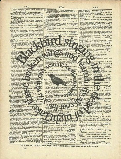 Beatles blackbird Blackbird Song, Beatles Vintage, Blackbird Singing, Beatles Art, Song Lyrics Art, Book Page Art, Beatles Songs, Vintage Dictionary, Lyric Art